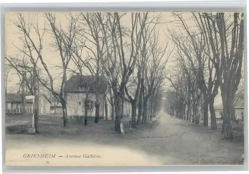 Griesheim Avenue Galliem *