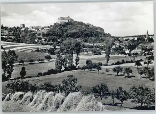 Lichtenberg Odenwald Schloss *