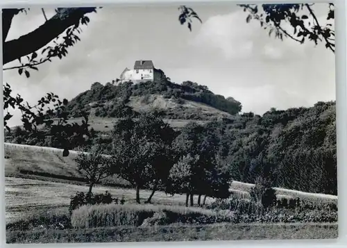 Hering Odenwald Jugendherberge Veste Otzberg *