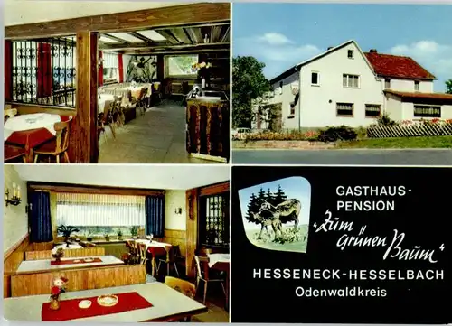 Hesseneck Gasthaus Pension zum gruenen Baum *