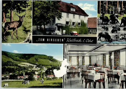 Kailbach Gasthaus Pension zum Hirschen *