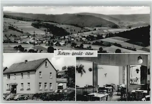 Falken-Gesaess Gasthaus Pension zur Rose *