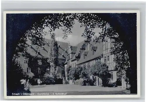 Erbach Odenwald Schloss  x