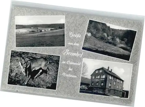 Bremhof Odenwald Gasthaus Pension zur schoenen Aussicht *