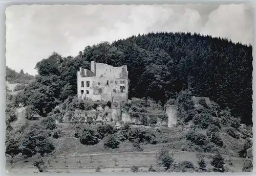 Gammelsbach Ruine Freienstein *