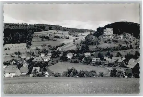 Gammelsbach Ruine Freienstein *