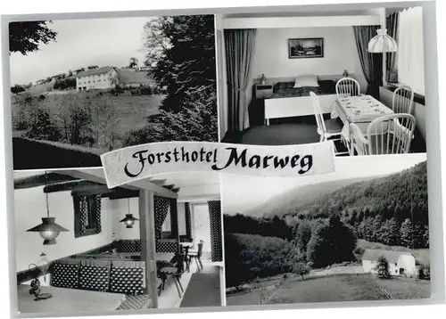 Olfen Odenwald Olfen Odenwald Pension Forsthotel Marweg * / Beerfelden /Odenwaldkreis LKR