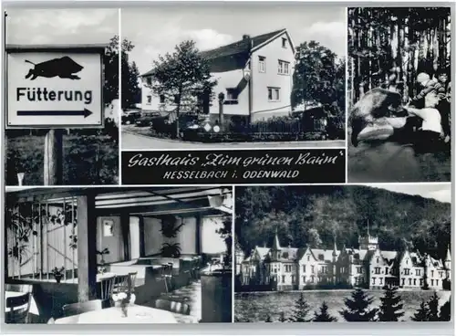 Hesselbach Odenwald Gasthaus zum gruenen Baum *