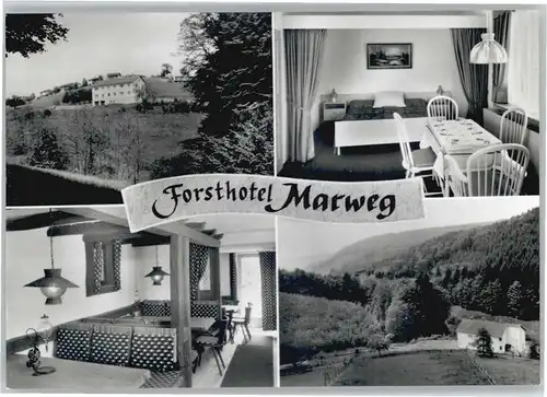 Olfen Odenwald Olfen Odenwald Forsthotel Marweg * / Beerfelden /Odenwaldkreis LKR