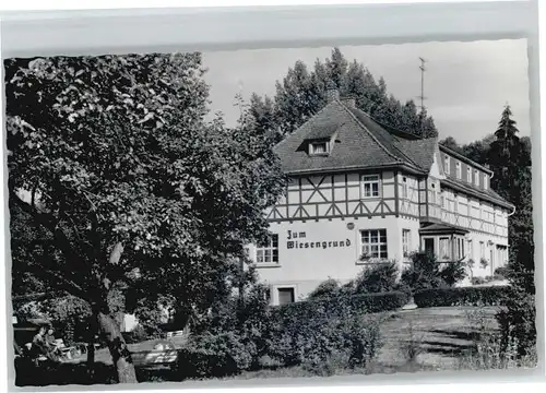 Winkel Odenwald Gasthaus Pension Zum Wiesengrund *