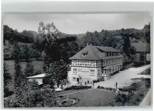 Winkel Odenwald Gasthaus Pension Zum Wiesengrund *