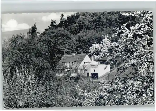 Ellenbach Odenwald Gasthaus Pension zum Felseneck *