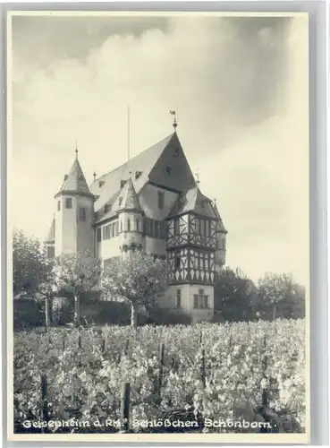 Geisenheim Geisenheim Rheingau Schloss Schoenborn * / Geisenheim /Rheingau-Taunus-Kreis LKR