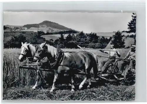 Poppenhausen Bodenhof Pferde Kutsche *