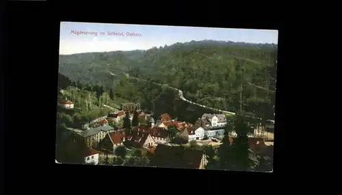 Maegdesprung Selvetal Ostharz / Harzgerode /Harz LKR