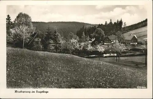 Hirschsprung  / Altenberg /Saechsische Schweiz-Osterzgebirge LKR