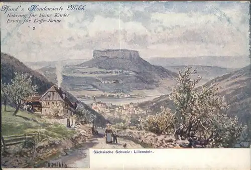 Lilienstein Kuenstler B. Muehliz / Bad Schandau /Saechsische Schweiz-Osterzgebirge LKR