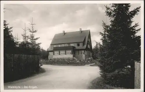 Waldidylle  / Altenberg /Saechsische Schweiz-Osterzgebirge LKR