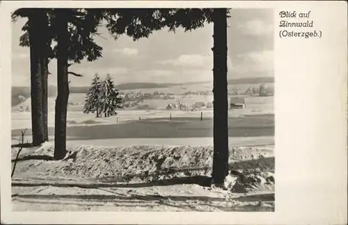 Zinnwald-Georgenfeld  / Altenberg /Saechsische Schweiz-Osterzgebirge LKR