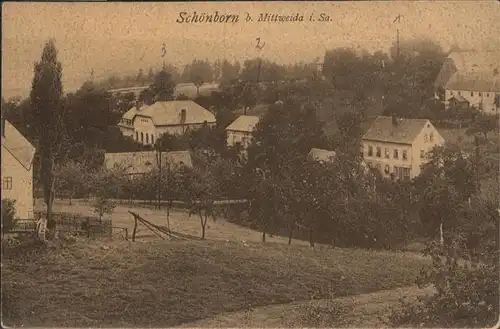 Schoenborn Mittweida  *