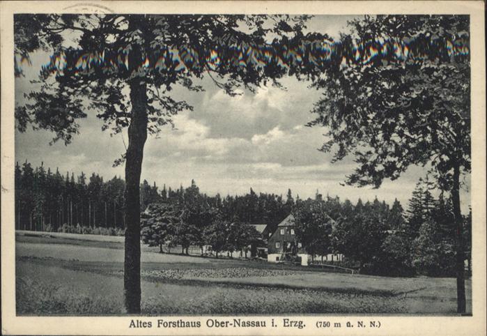 Nassau Erzgebirge Altes Forsthaus Ober Nassau X Nr Wq70360 Oldthing Ansichtskarten Sachsen