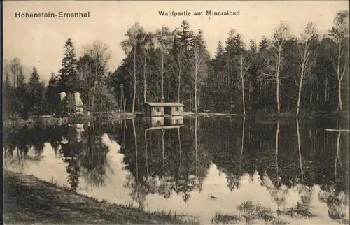 Hohenstein-Ernstthal Mineralbad x