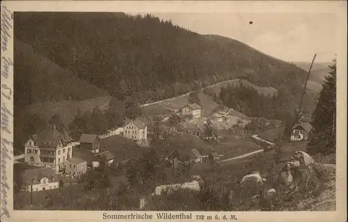 Wildenthal Eibenstock  *