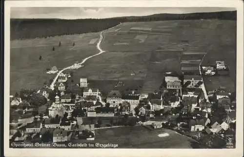 Carlsfeld Erzgebirge Fliegeraufnahme Hotel Gruener Baum x