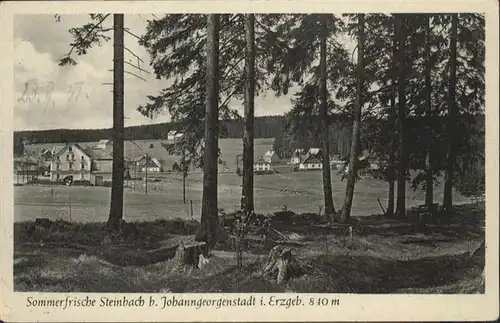 Steinbach Johanngeorgenstadt  *