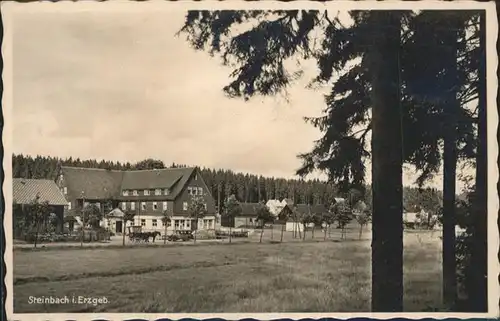 Steinbach Johanngeorgenstadt Fremdenhof Waldesruhe Pferd x