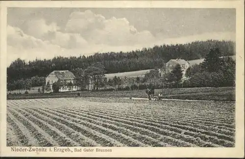 Nieder-Zwoenitz Bad Guter Brunnen *