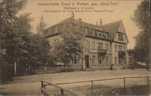 Mohorn Gasthaus zu den Linden Erholungsheim Klein-Tirol x