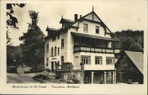 Hirschsprung Ferienheim Waldhaus *