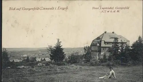 Zinnwald-Georgenfeld Hotel Lugsteinhof x