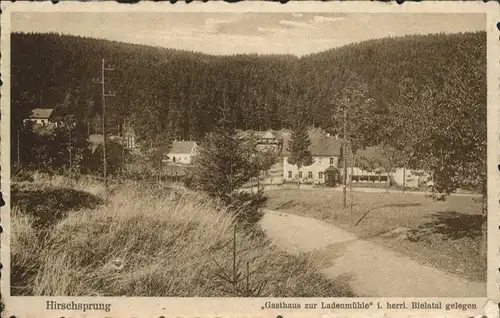 Hirschsprung Gasthaus zur Ladenmuehle Bielatal Altenberg Erzgebirge Lauenstein *