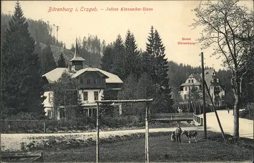 Baerenburg Sachsen Baerenburg Erzgebirge Julius Alexander-Haus Hotel Baerenburg x / Altenberg /Saechsische Schweiz-Osterzgebirge LKR