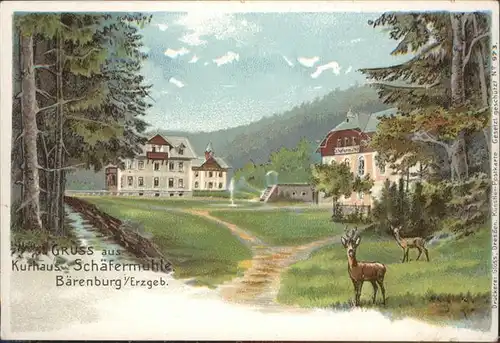 Baerenburg Sachsen Baerenburg Erzgebirge Kurhaus Schaefermuehle Hirsch Farblitho * / Altenberg /Saechsische Schweiz-Osterzgebirge LKR