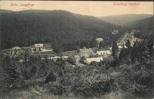 Baerenburg Sachsen Baerenburg Erzgebirge Kipsdorf x / Altenberg /Saechsische Schweiz-Osterzgebirge LKR