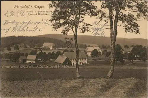 Hermsdorf Erzgebirge Gasthof zum gruenen Tanne Buschhaus x