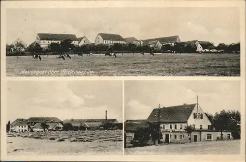 Heidenau Sachsen Heidenau Sachsen Meusegast Rittergut gh Kuehe * / Heidenau /Saechsische Schweiz-Osterzgebirge LKR