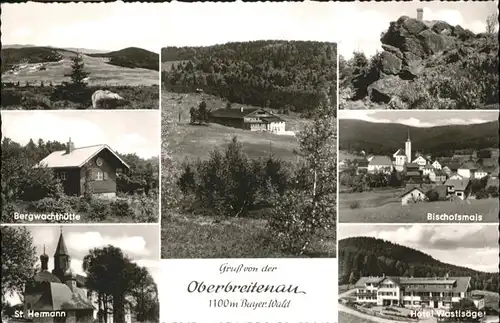 Oberbreitenau Bischofsmais Hotel Wastlsaege Bergwachthuette St Hermann