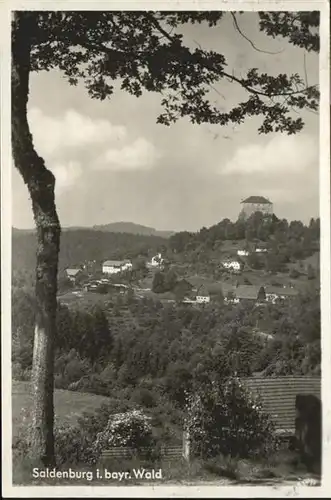 Saldenburg 