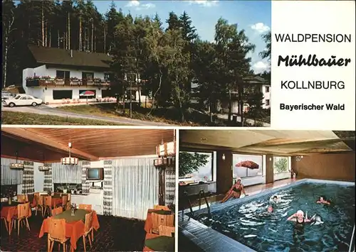 Kollnburg Waldpension Muehlbauer Schwimmbad