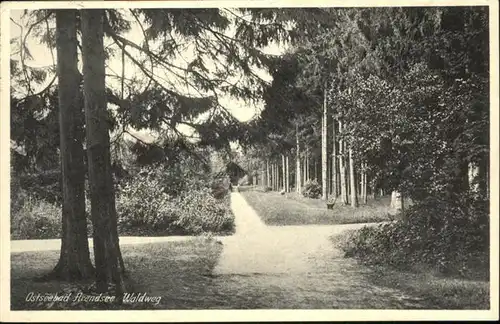 Arendsee Ostsee Waldweg