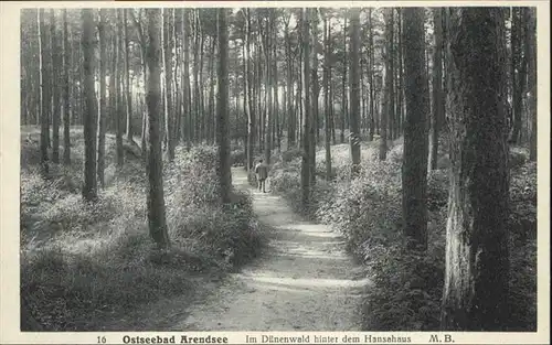 Arendsee Ostsee Duenenwald