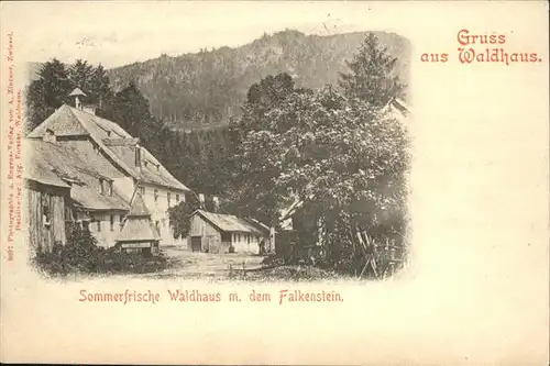 Waldhaus Regen Falkenstein