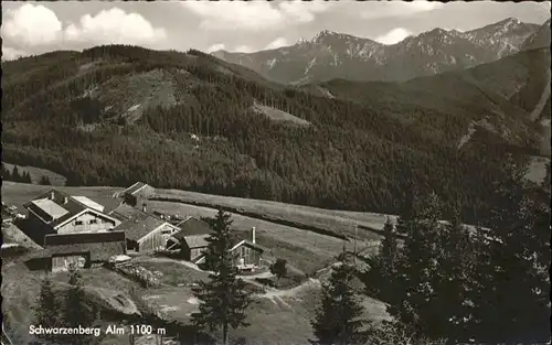 Schwarzenberg Vorarlberg Schwarzberger Alm / Schwarzenberg /Bludenz-Bregenzer Wald