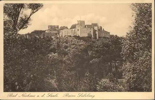 Bad Neuhaus Ruine Salzburg