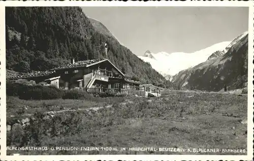 Bramberg Wildkogel Alpen Gasthaus Enzian