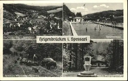 Heigenbruecken Schwimmbad Ehrenmal Wildschweine